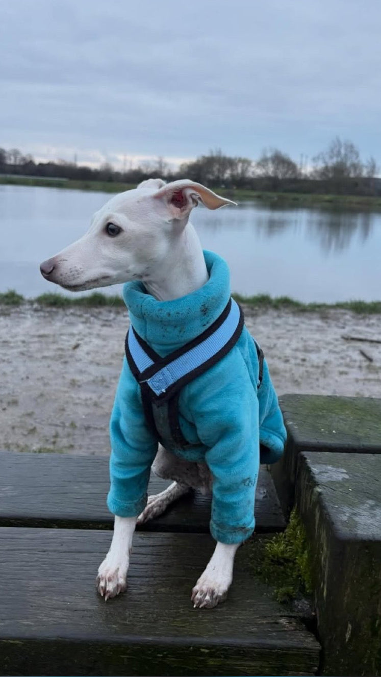 Sherpa Lined Fleece Jumper - Cyan Blue