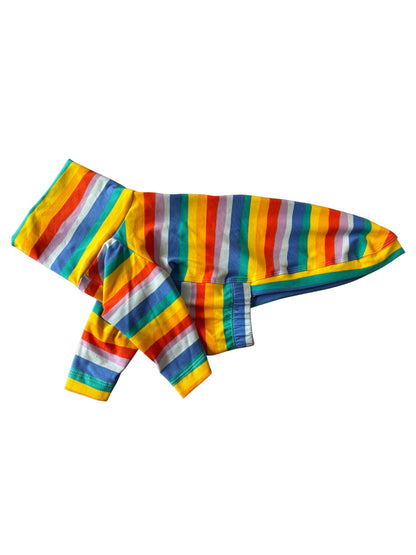 Jersey T-Shirt - Rainbow Stripe