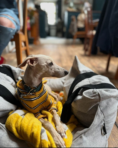 Ribbed Jersey T-Shirt - Lilac Stripe