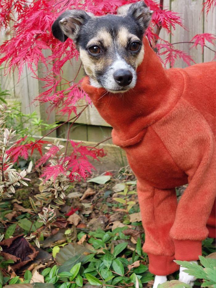 Fleece Lined Sweatshirt Suit - Rust Orange