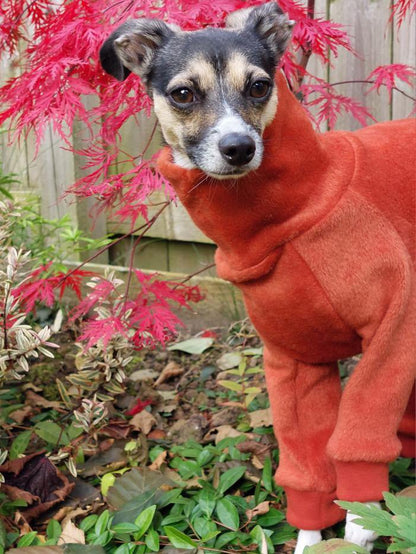 Fleece Lined Sweatshirt Suit - Rust Orange