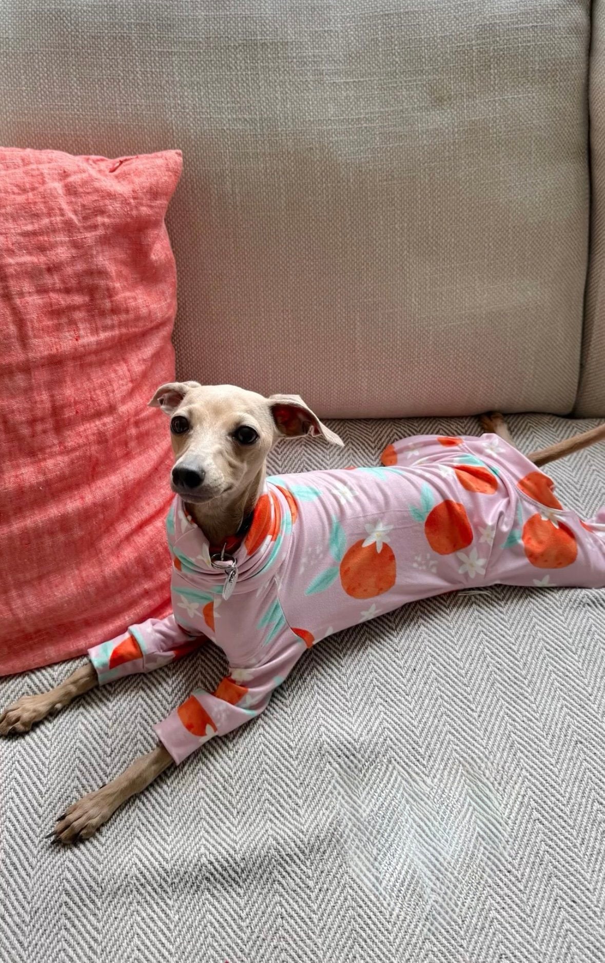 Jersey Suit - Peaches