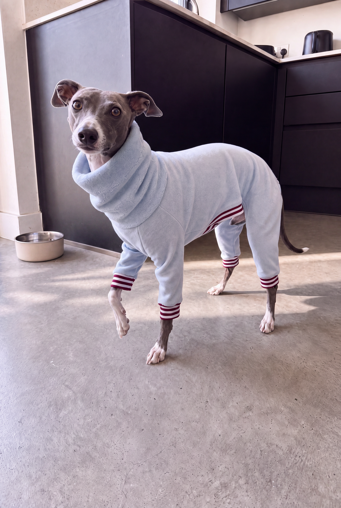 Fleece Lined Sweatshirt Suit - Baby Blue