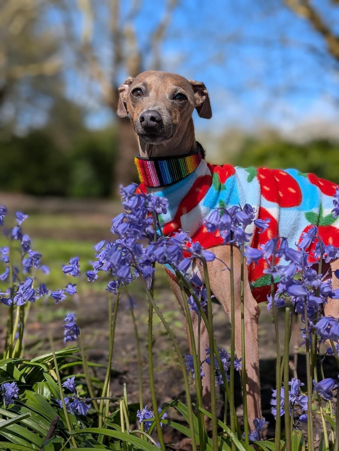 Fleece Vest - Strawberry Picnic