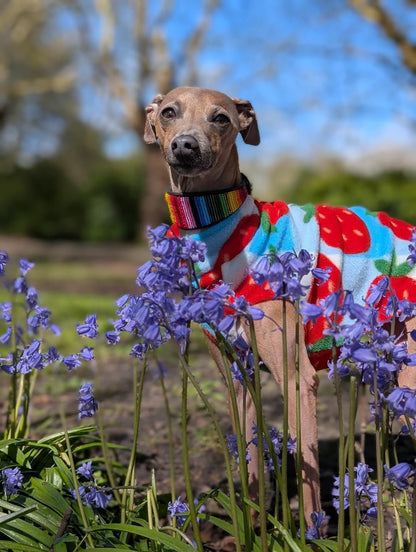 Fleece Vest - Strawberry Picnic