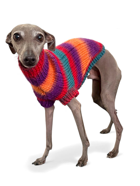 Knitted Jumper - Rich Tones