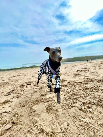 Scuba Jersey Suit - Dogtooth