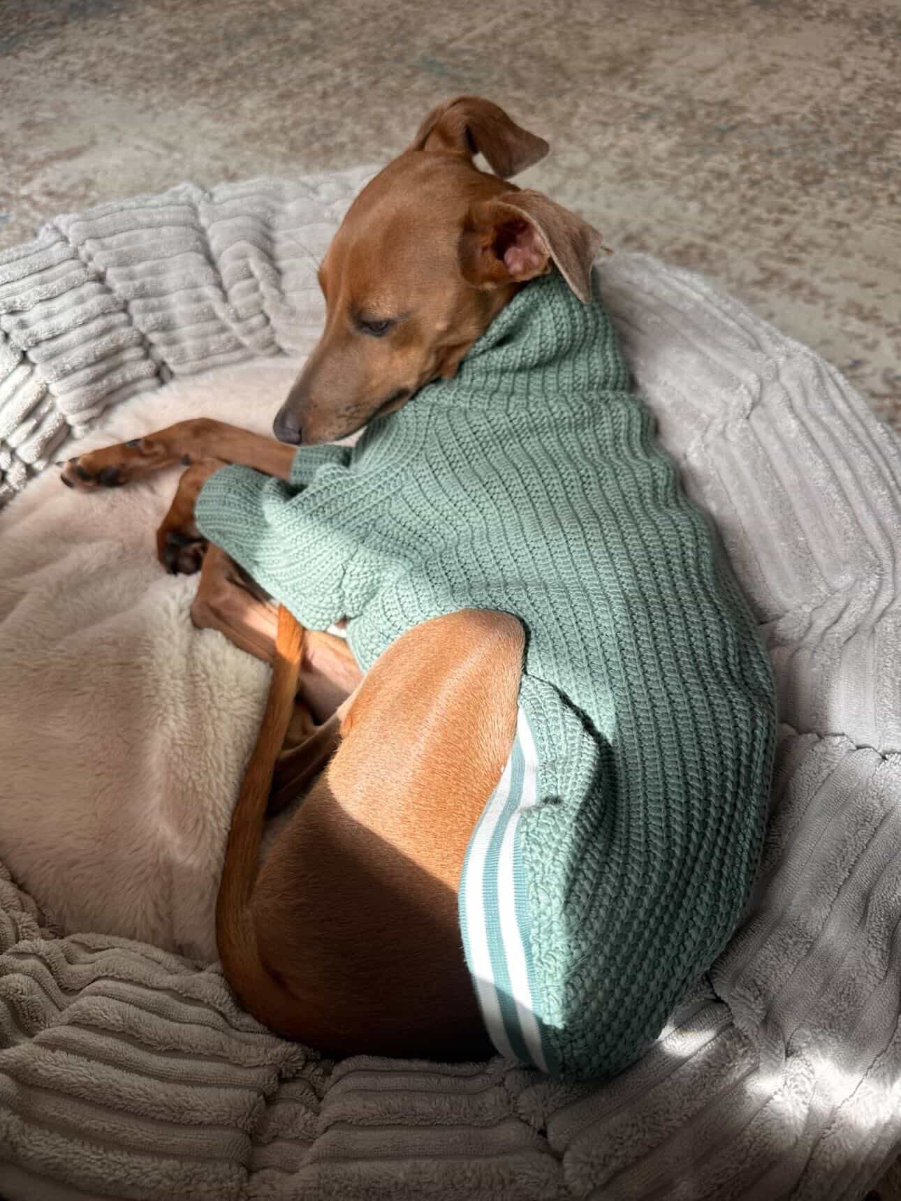 Chunky Knit Jumper - Mustard