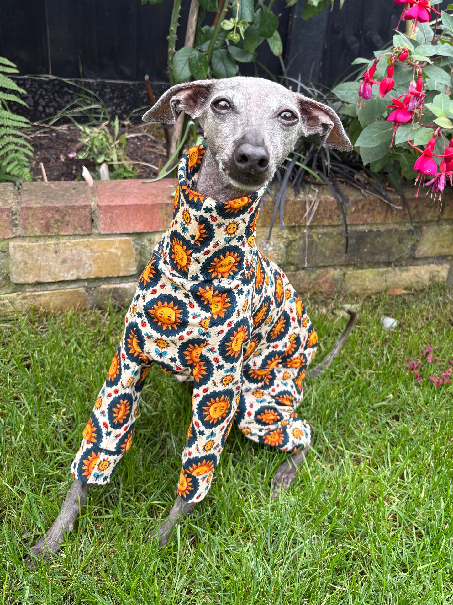Jersey Suit - Sun Folk Art