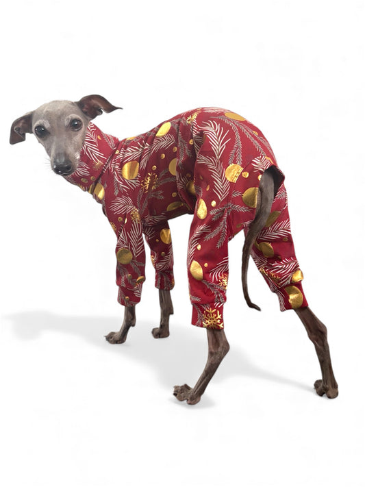christmas clothing for italian greyhounds, whippets and xolos. Jumpers, sweatshirts, vests and gifts.