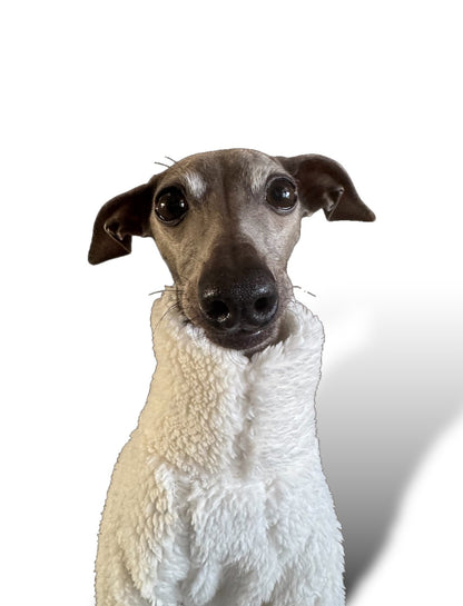 Cuddle Fur Fleece Jumper - Little Lamb