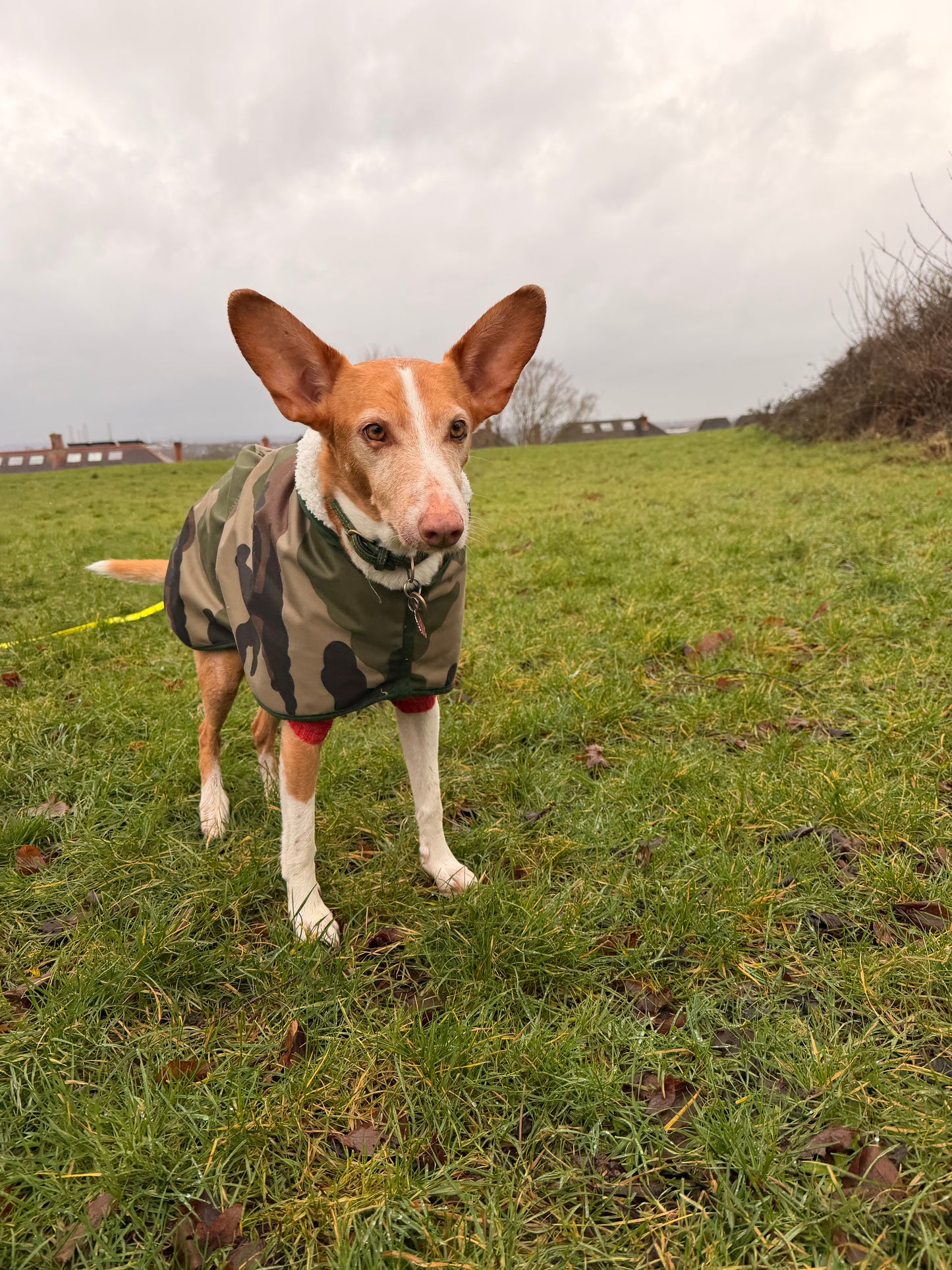 Waterproof Rain Mac - Camouflage