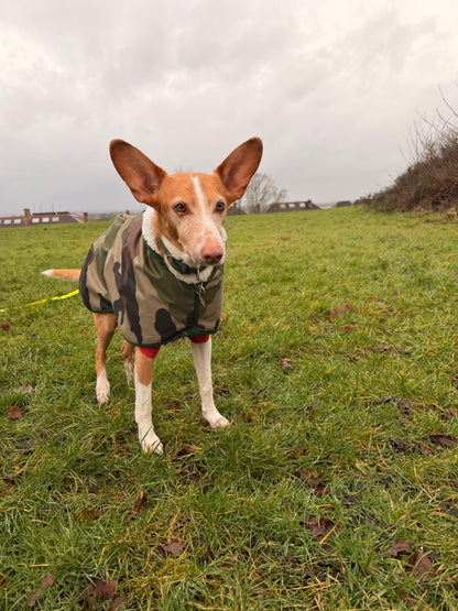 Waterproof Rain Mac - Camouflage