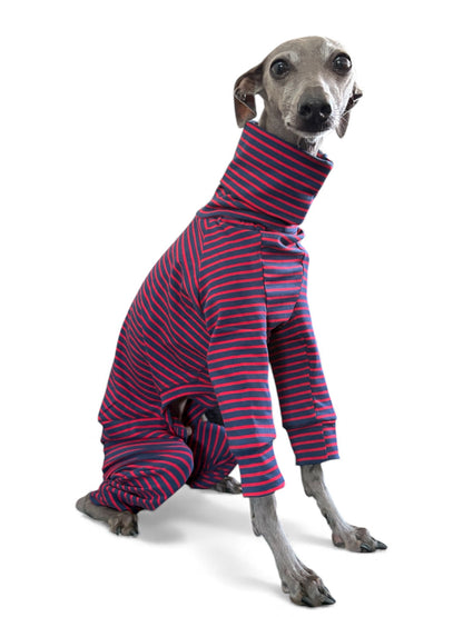 Jersey Suit - Blue & Red Stripe