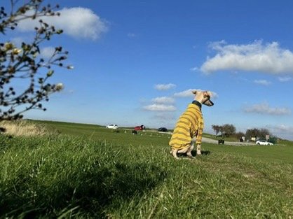 Ribbed Jersey T-Shirt - Lilac Stripe