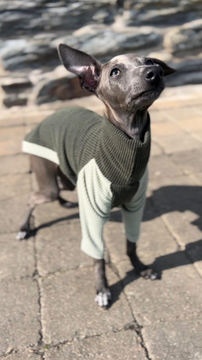 Ribbed Jersey T-Shirt - Greens