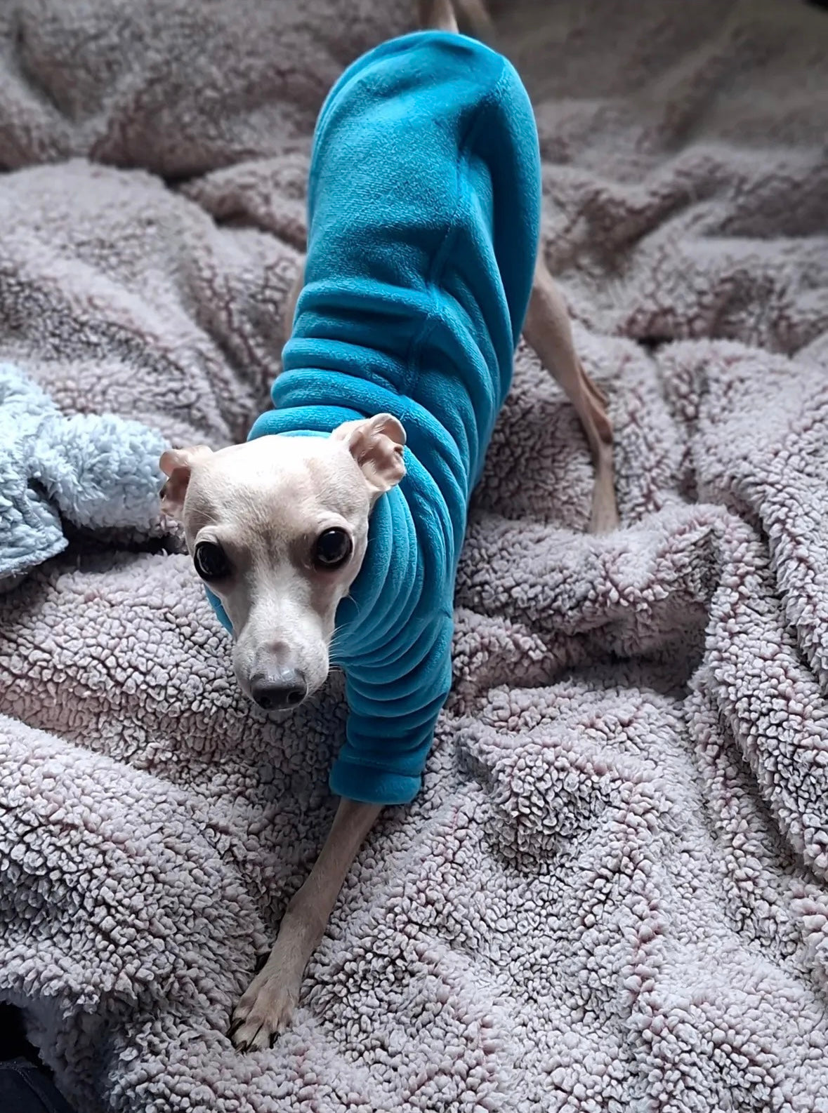 Sherpa Lined Fleece Jumper - Cyan Blue