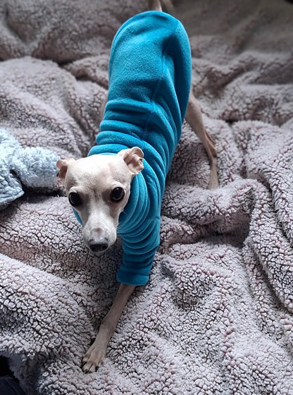 Sherpa Lined Fleece Jumper - Cyan Blue