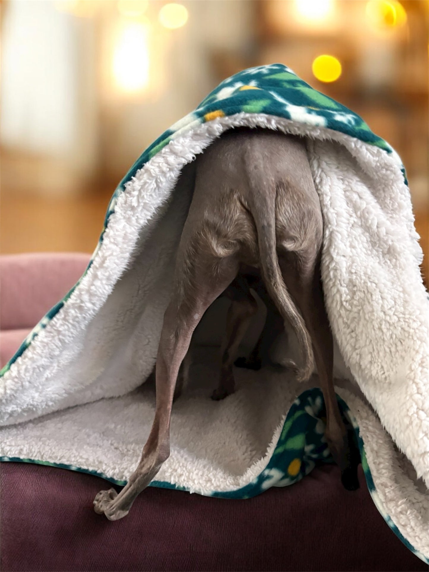 Snuggle Sack - Wild Daisies