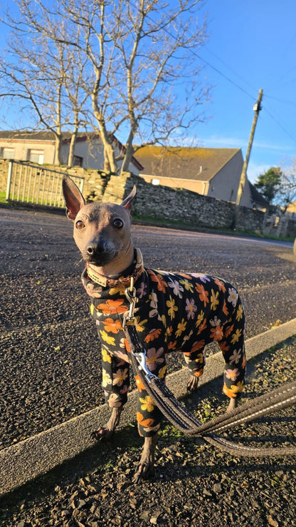 Fleece Lined Sweatshirt - Flower Power