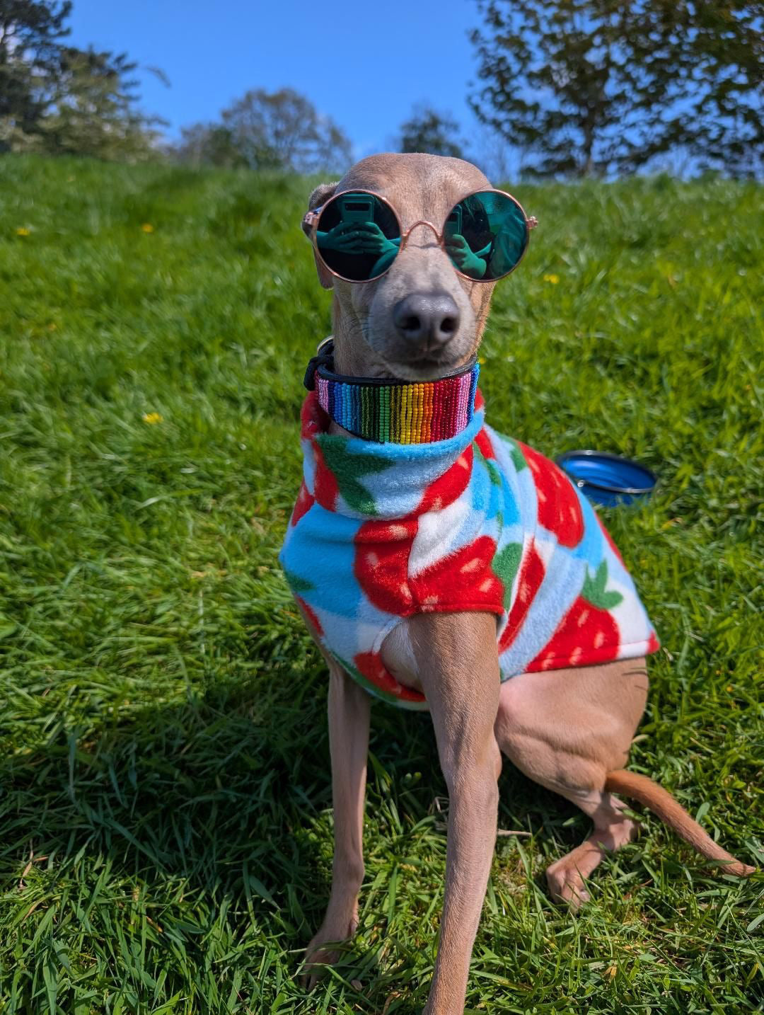 Fleece Vest - Strawberry Picnic