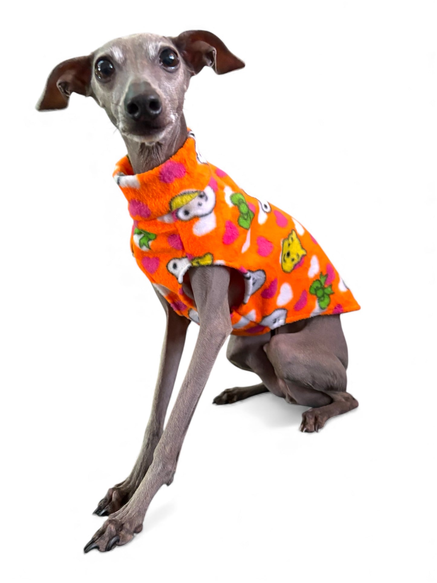 Fleece Vest - Vintage Winnie the Pooh