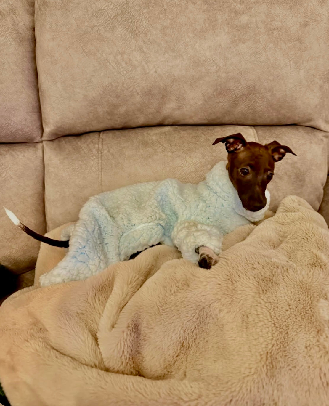 Cuddle Fur Fleece Suit - Baby Blue