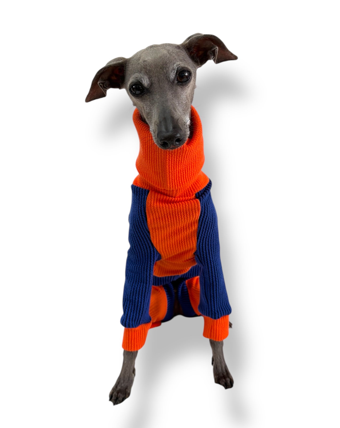 Ribbed Jersey Suit - Orangina