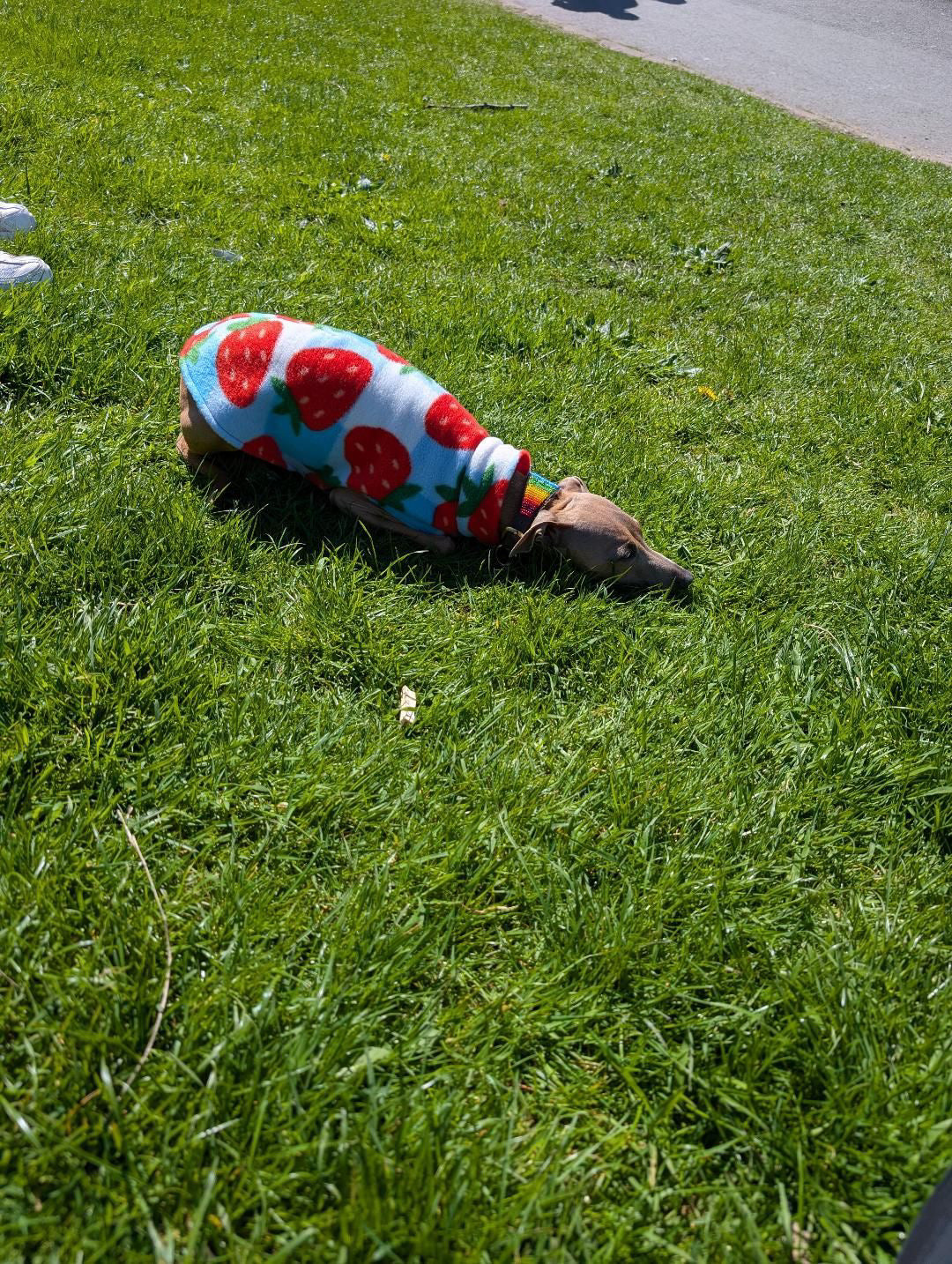 Fleece Vest - Strawberry Picnic