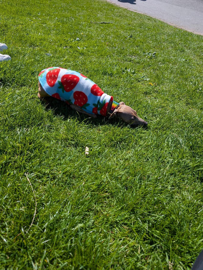 Fleece Vest - Strawberry Picnic