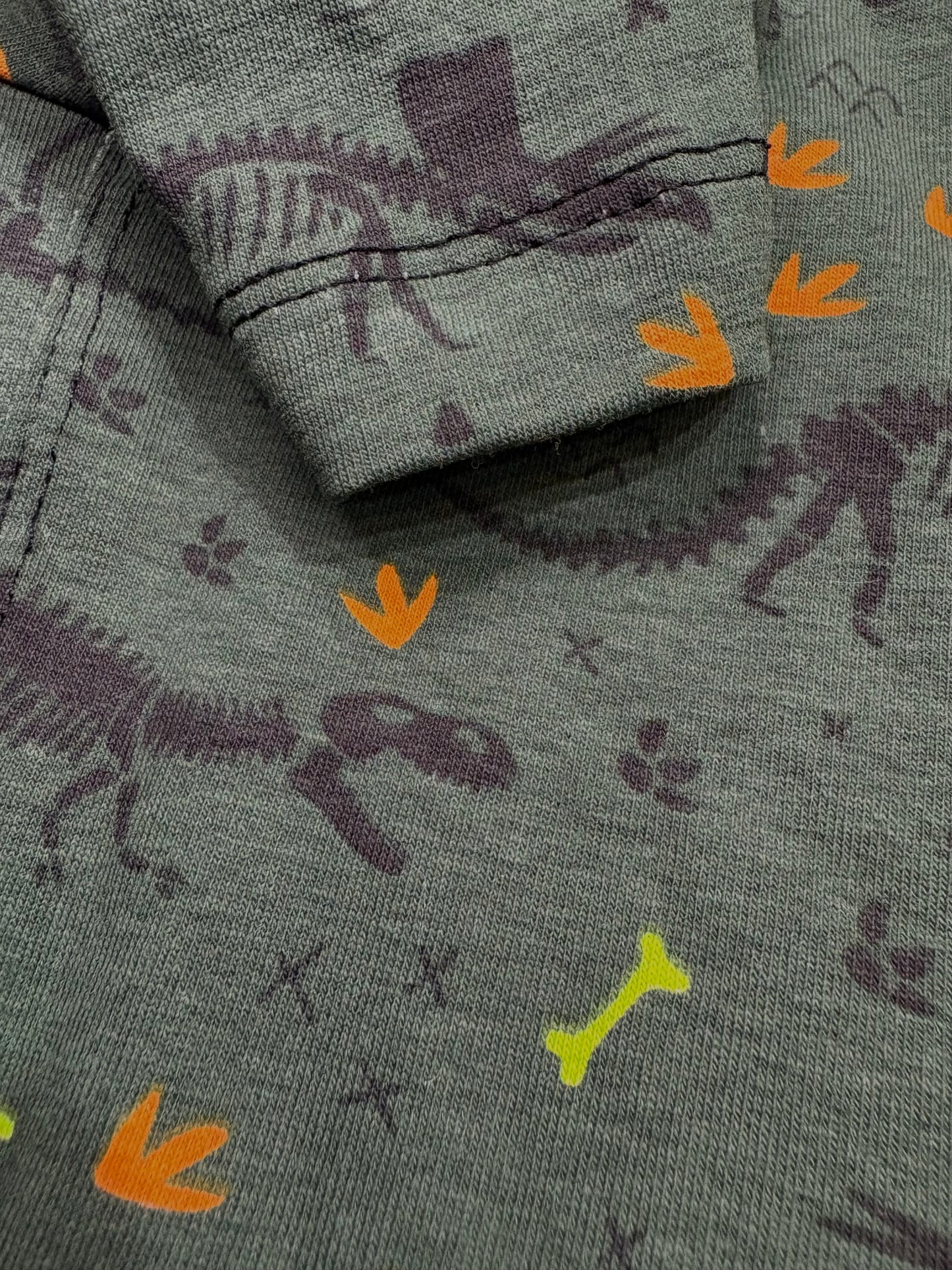 Jersey T-Shirt - Dinosaur Fossils