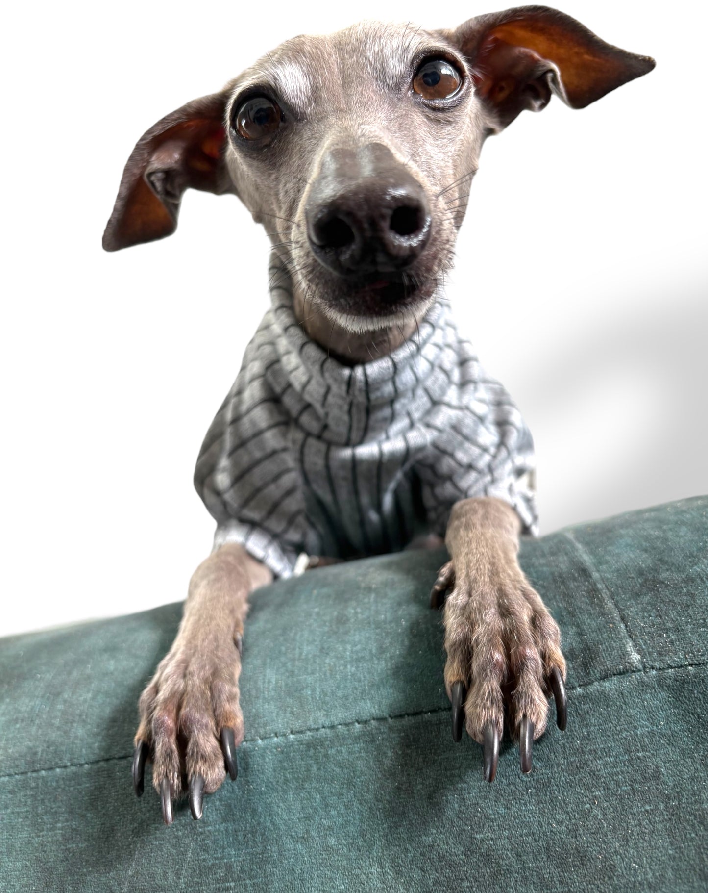 Knit Jersey T-Shirt - Grey Stripe