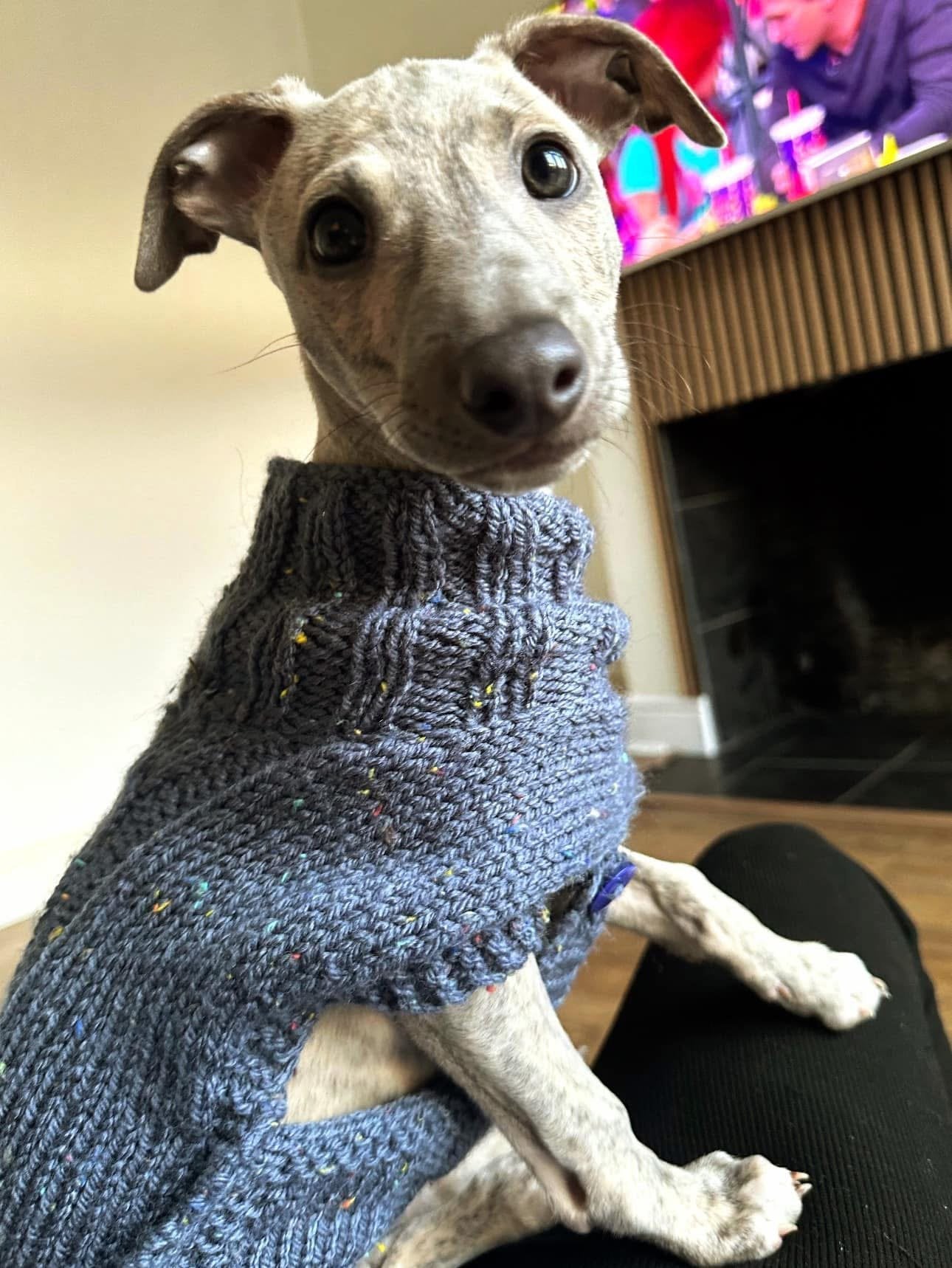 Knitted Coat - Button Up - Speckled Plum