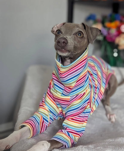 Jersey T-Shirt- Rainbow Stripes