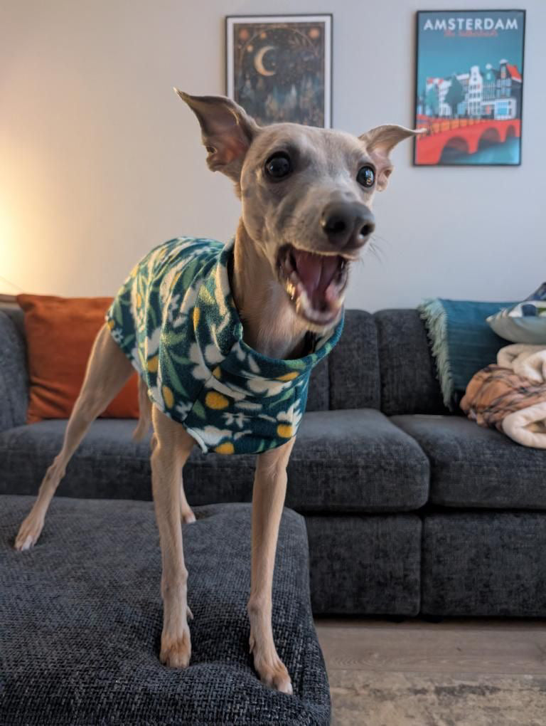 Fleece Vest - Flower Power Daisies