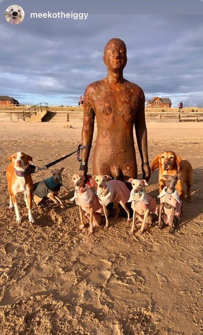 Rain Mac - Pink Submarines & Boucle Fleece Lining