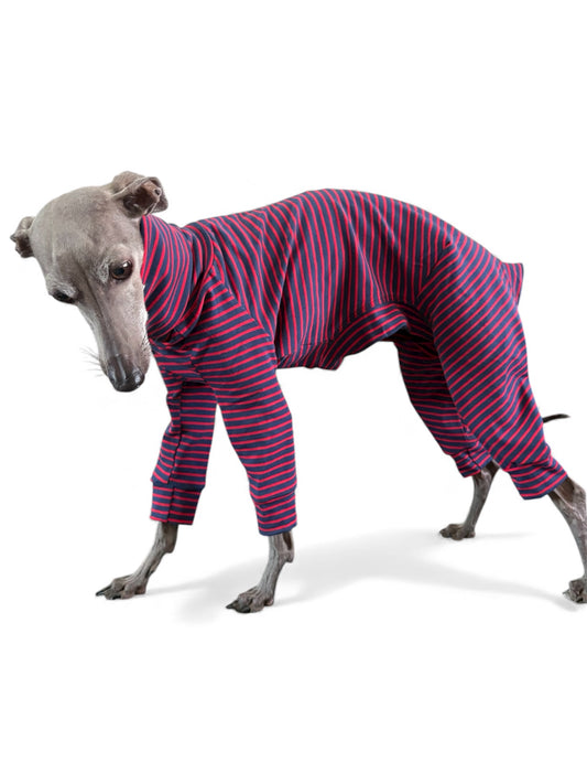 Jersey Suit - Blue & Red Stripe