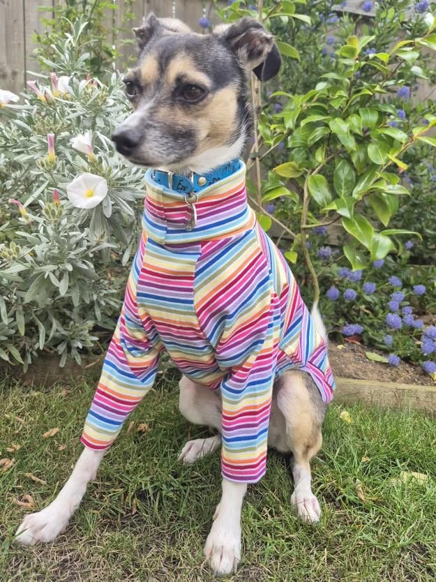 Jersey T-Shirt- Rainbow Stripes