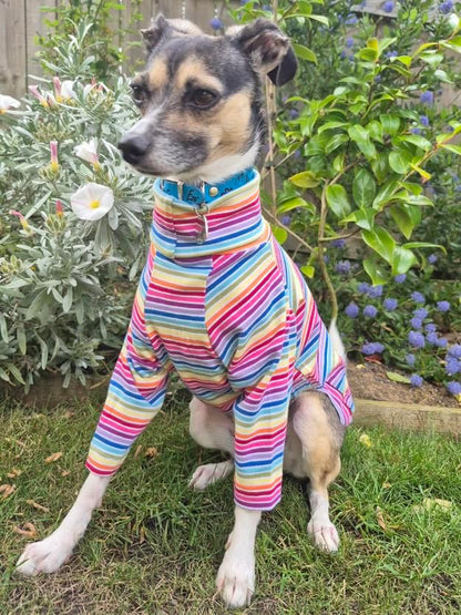 Jersey T-Shirt- Rainbow Stripes