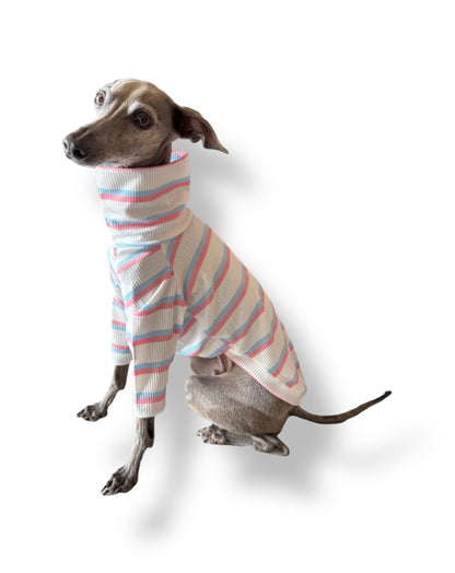 Ribbed Jersey T-Shirt - Pink & Blue Stripe