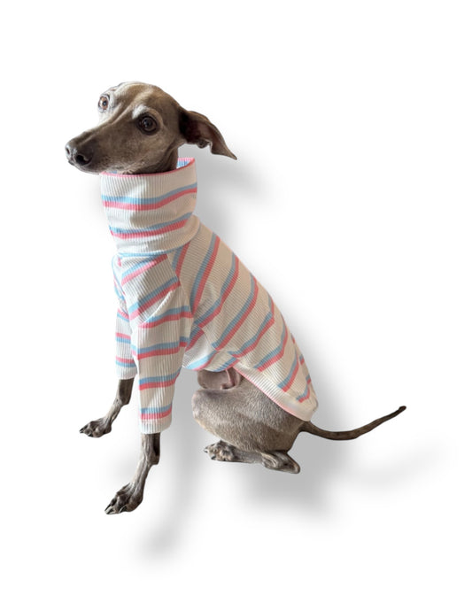 Ribbed Jersey T-Shirt - Pink & Blue Stripe