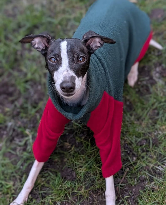 Fleece Lined Sweatshirt Suit - Green & Red