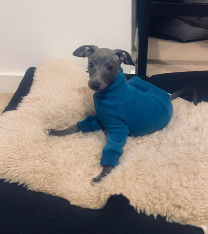 Fleece Lined Sweatshirt - Teal