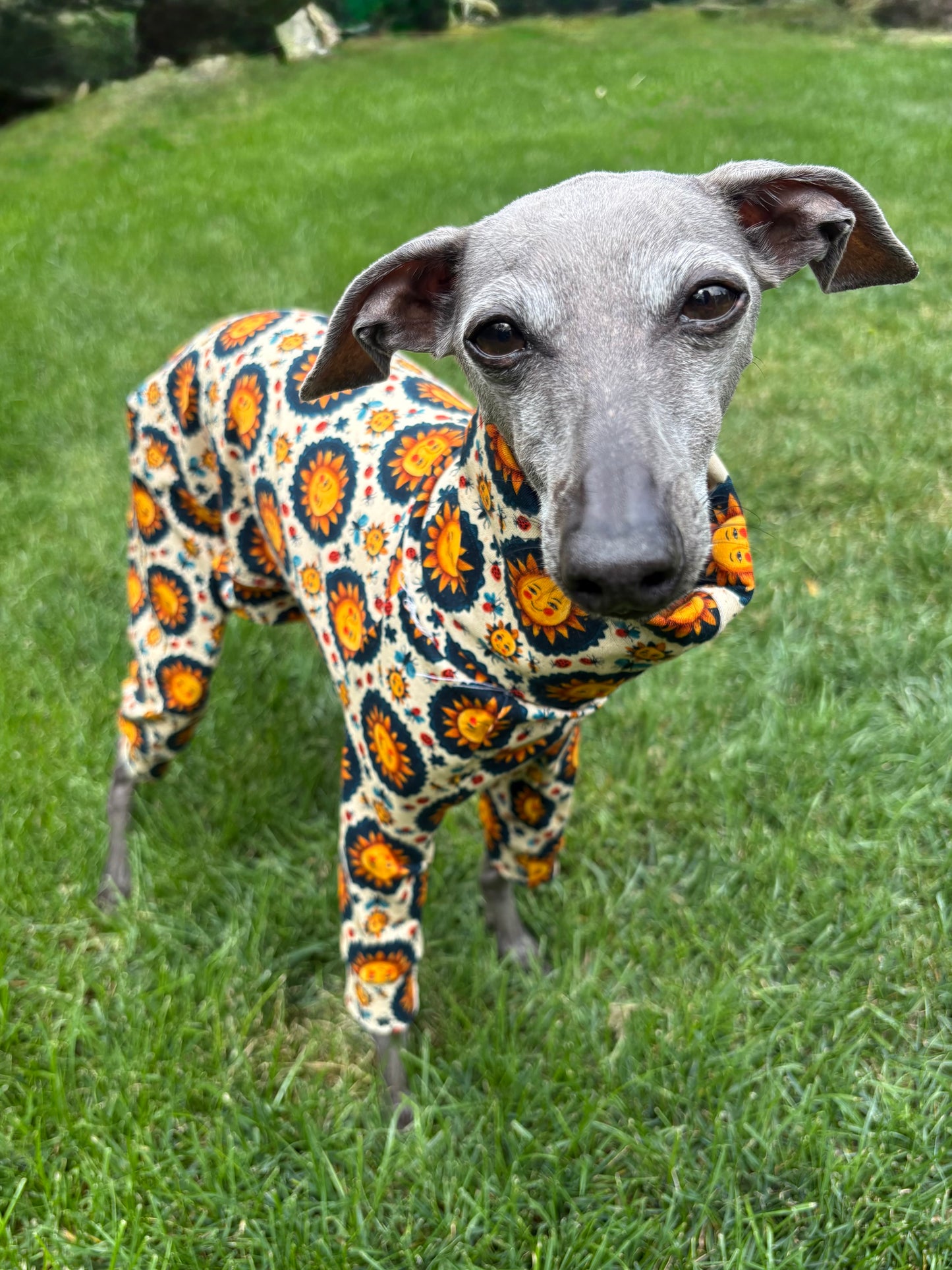 Jersey Suit - Sun Folk Art