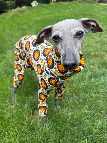 Jersey Suit - Sun Folk Art
