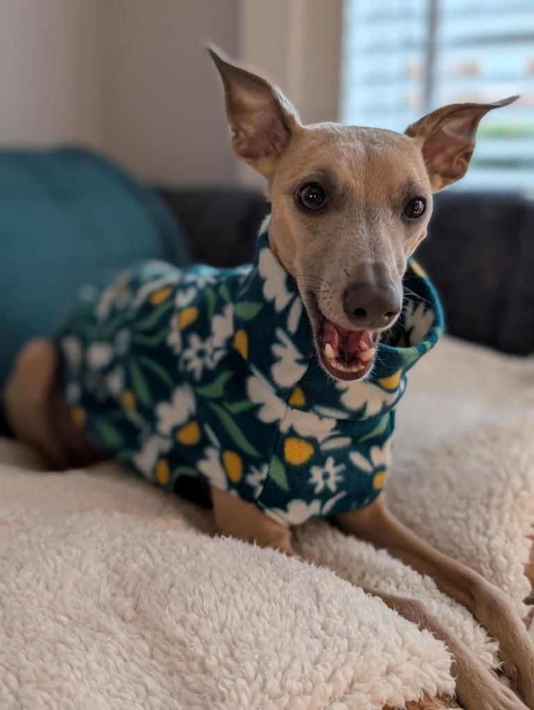 Fleece Vest - Wild Daisies