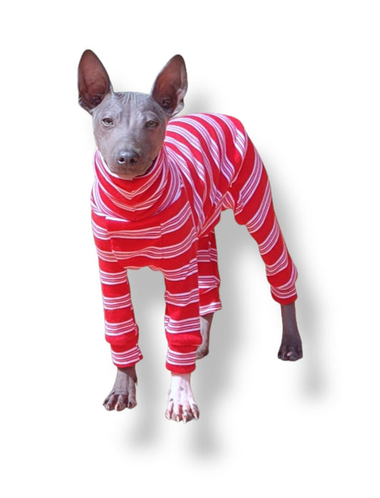 Ribbed Jersey Suit - Red Stripe