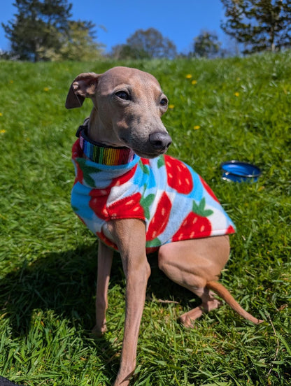 Fleece Vest - Strawberry Picnic