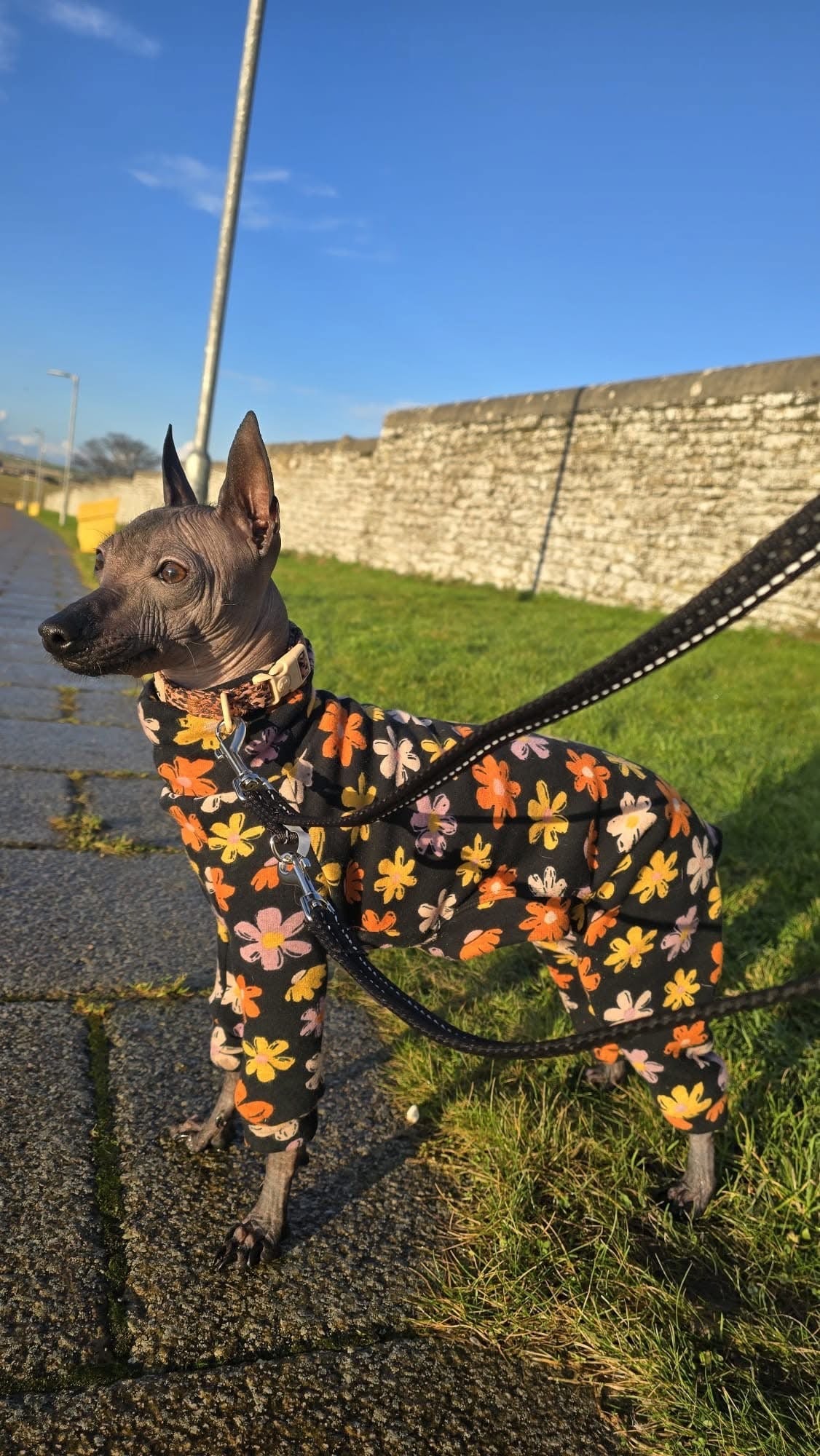 Fleece Lined Sweatshirt - Flower Power