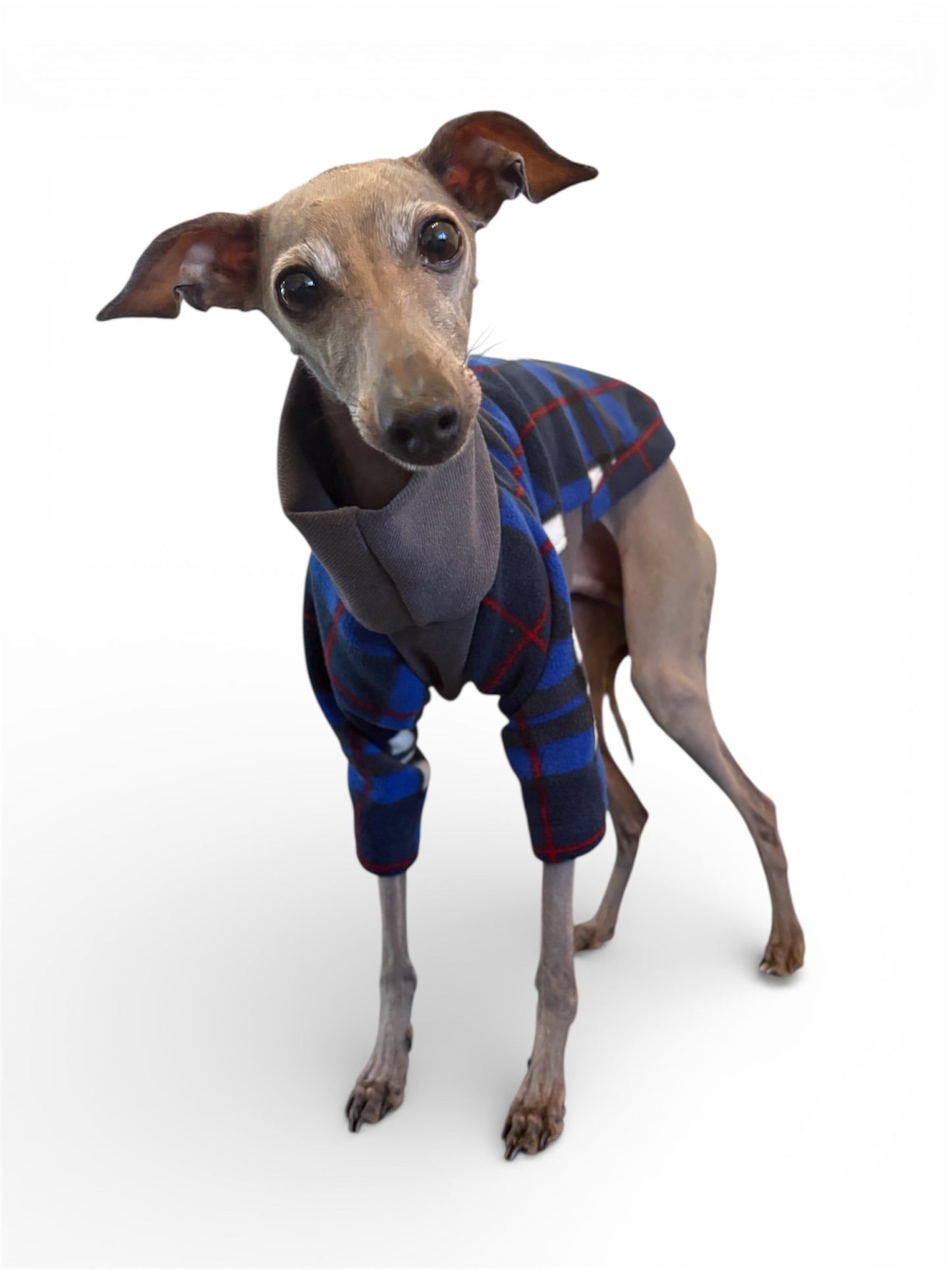 Fleece & Jersey Blend Jumper - Blue Plaid Tartan Mix